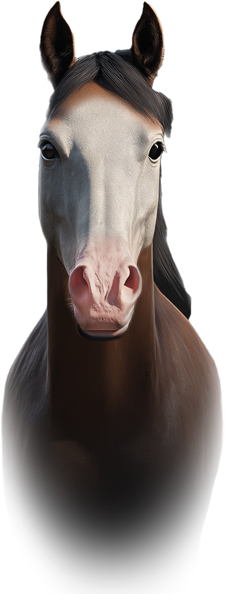 3D Horse Bald Face