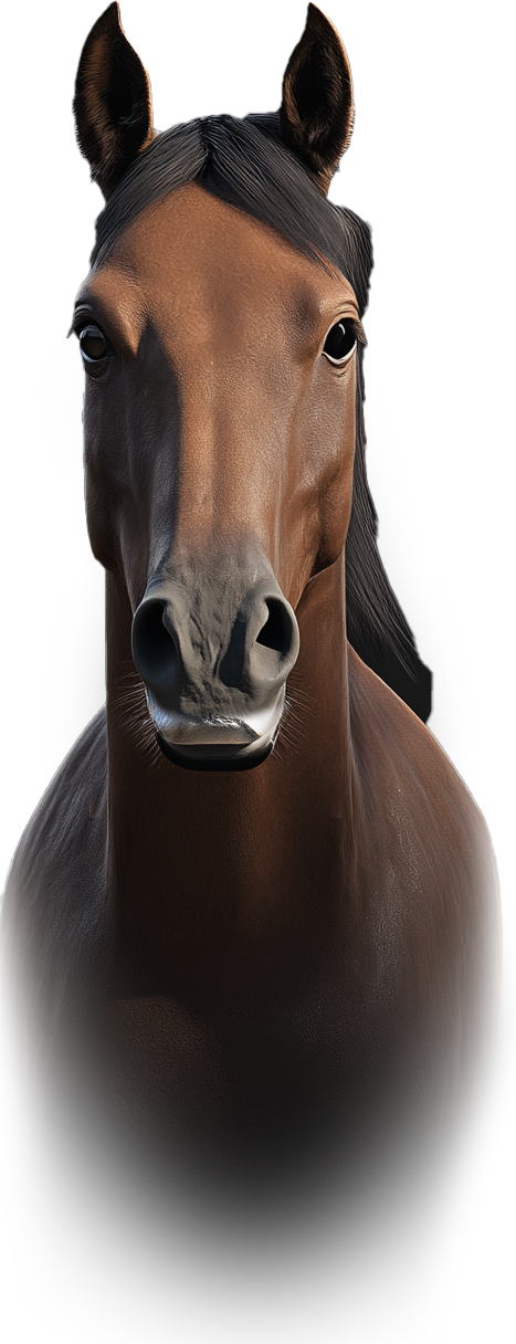 3D Horse Lip